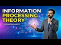Information Processing Theory Psychology