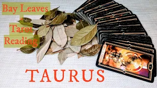 TAURUS - Things are about to Change in the Most Profound Ways For You! SEPTEMBER 7th-13th 