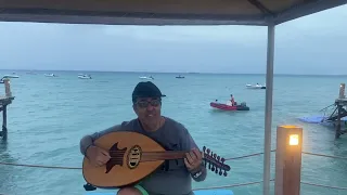 علموني عينيكي محمد منير عزف على العود 