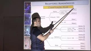 Receptores adrenérgicos e colinérgicos - Acetilcolina e Noradrenalina
