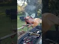Lagu Ever seen a pig cooked on the spit from start to finish? 🐖🔥🤷🏽‍♂️