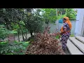 Download Lagu সামান্য ভুলে এতো বড় ক্ষতি হয়ে গেল | Doyel Agro