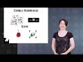 Codable Hierarchies - Saving Data in iOS 11 Xcode 9 and Swift 4