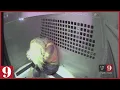 Van surveillance shows Daytona Beach Police transport driver soliciting inmate for sex WFTV