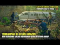 Download Lagu Terdampar Di Hutan Amazon Dan Berusaha Saling Membunuh Demi Bertahan Hidup ‼️