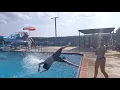 City pool Copperas Cove Texas