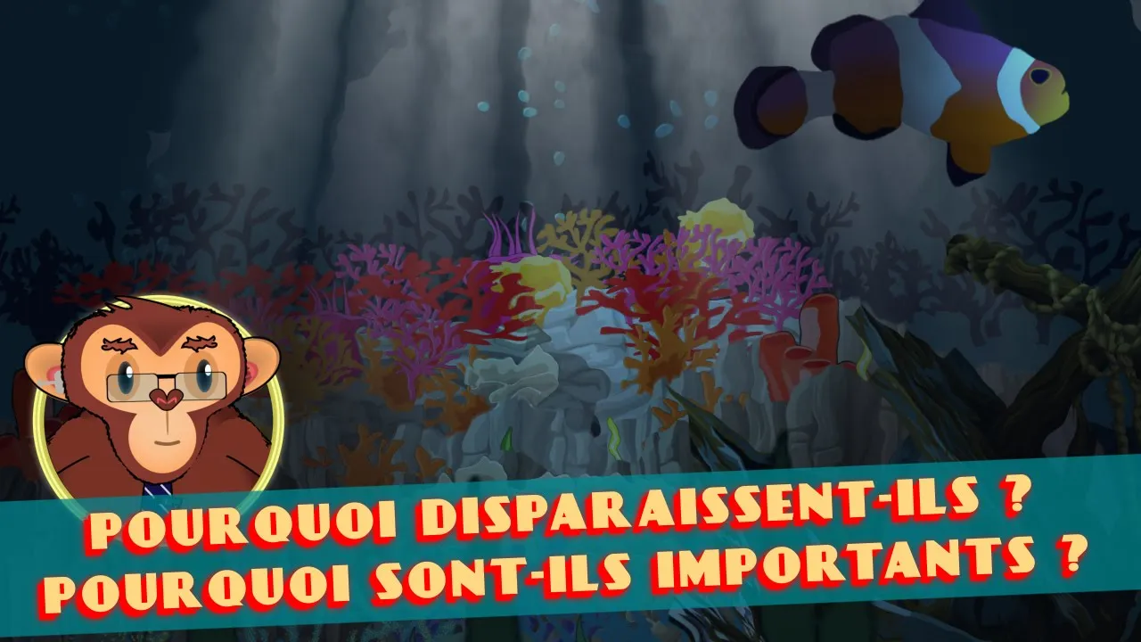 Les coraux : qu'est-ce que c'est ? Et pourquoi disparaissent-ils massivement ?