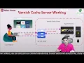 Working of Varnish Cache Server With Apache Apache Varnish Cache Nehra Classes