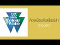 25 hours - คิดเหมือนกันหรือเปล่า (Doubt)  (พ.ศ.2554)