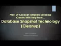 SQL Server Database Snapshot Technology Scenario Cleanup - POC Lesson 4