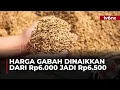 Download Lagu Pemerintah Naikan HPP Gabah dan Jagung