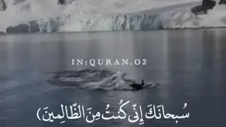 فنادا في الظلمات ان لااله الا انت سبحانك للشيخ اسلام صبحي تلا رائعة 