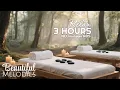 Relax Spa And Massage Spa Music No Ads Relax Spa And Beauty Spa Music Album Commercial Free