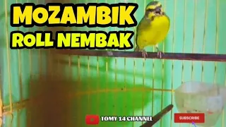 Download MOZAMBIK GACOR ROLL TEMBAK MP3