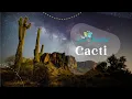 Cacti Fun Facts About Cacti Botany The Good and the Beautiful