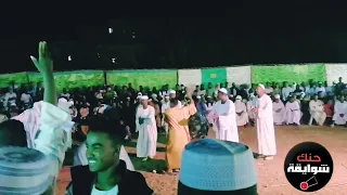 حافظ طه الباسا يامريوده شتيله المشرق  حافظ طه الباسا يامريوده شتيله المشرق