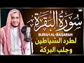 Download Lagu سورة البقرة كاملة, رقية للبيت, وعلاج للسحر | القارئ علاء عقل - Surah Al Baqarah