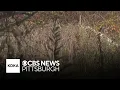 Homicide charges filed after man found dead on Westmoreland Co game lands