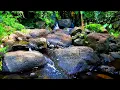 Download Lagu Just Close Your Eyes • Calm Relaxing Nature Sounds for Deep Sleep. Water stream flowing.  No