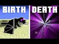 Download Lagu The Tragic Story of Minecraft’s Ender Dragon