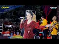 Download Lagu D'RADJA PASTI AJA - CINTA SEJATI - EVA AQUILA - WEDDING OKY \u0026 KIKY - CEPOGO KEMBANG JEPARA