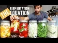 Download Lagu The Complete Guide to Fermenting Every Single Vegetable