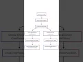 Spring Beans Dependency Injection