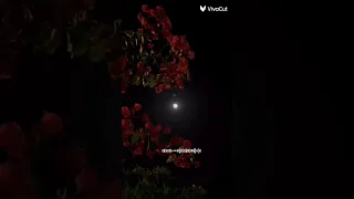 و سألته يا شيخ ما حكم الذي يبكي اذ يشتاق للاحباب فبكى 