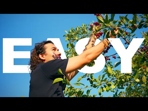 A1: lição de listening — Everyday Chores & Camping Prep 🏕️ | Volka English