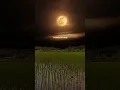 Download Lagu story wa sawah