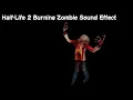 Half-Life 2 Burning Zombie Sound Effect