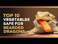 10 MUST-HAVE Veggies for a Thriving Bearded Dragon Avoid Common Mistakes