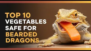 10 MUST-HAVE Veggies for a Thriving Bearded Dragon Avoid Common Mistakes