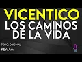 Vicentico - Los Caminos De La Vida - Karaoke Instrumental