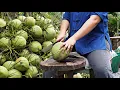 Lagu Coconut harvesting process in coconut farm!!!Coconut, coconut processing, Somtam, fried rice!!!