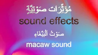 المؤثرات الصوتية صوت الببغاء 