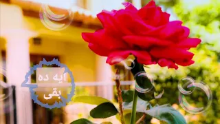                                                                                    حكيم   ايه ده بقى دندنها