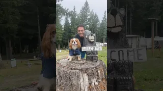 My baby cavy boy is officially a teenager 🥹 Time flies, but he’s still my handsome little man.