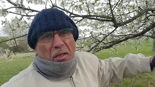 الراقي هو احدث مدرسة سلوكية للدكتور جميل السعيد  الراقي هو احدث مدرسة سلوكية للدكتور جميل السعيد