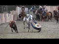 Download Lagu coleadero en el lienzo charro el zacatecano 03-20-2021