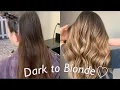 Hand Painted Balayage Ombre Technique Dark to Blonde Tutorial