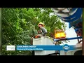 Consumers Energy gives an update on Reliability Roadmap plan
