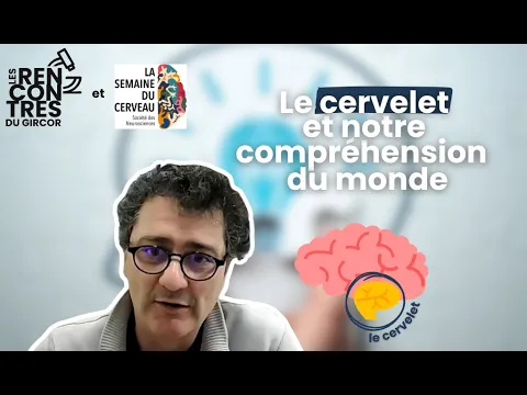 "Le rôle du cervelet dans notre compréhension du monde"  - Les rencontres du Gircor