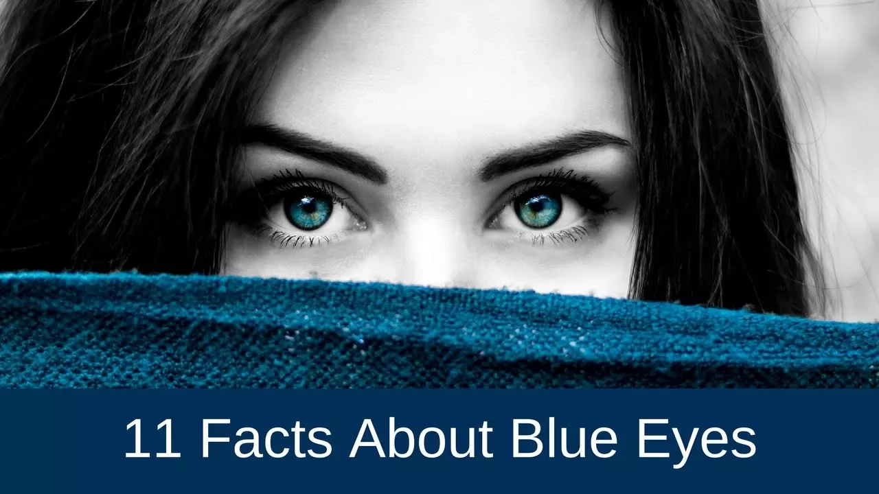11 Facts About Blue Eyes
