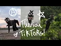 25 minutes of therian tiktoks compilation