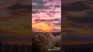 جورج وسوف لو كل عاشق بلهوى أختر نصيبو دندنها