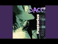 Download Lagu Reza (1999 Remaster)