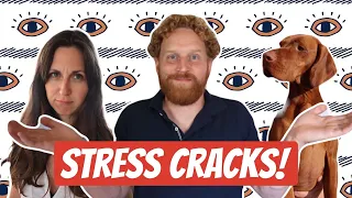 Our Lockdown Diary 2