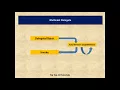 Events And Delegates Part 3 MultiCast Delegate And Async Invocation