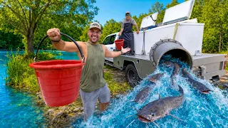 Stocking 2,500 Mega Catfish into my Backyard POND!!! (BIG MISTAKE)